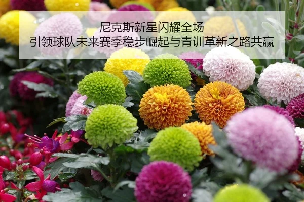 尼克斯新星闪耀全场 引领球队未来赛季稳步崛起与青训革新之路共赢