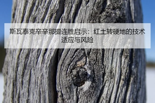 si-wa-tai-ke-xin-xin-na-ti-lian-sheng-qi-shi-hong-tu-zhuan-ying-di-de-ji-shu-shi-ying-yu-feng-xian-2-583.jpg